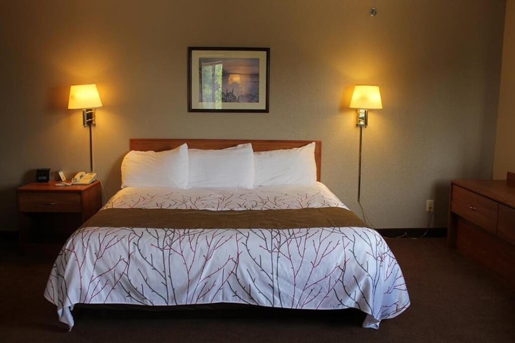 Edmore Inn 3* Edmore