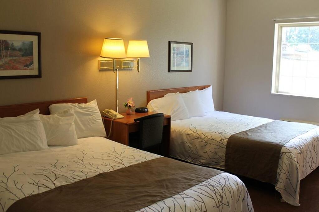 Edmore Inn Inn 3*